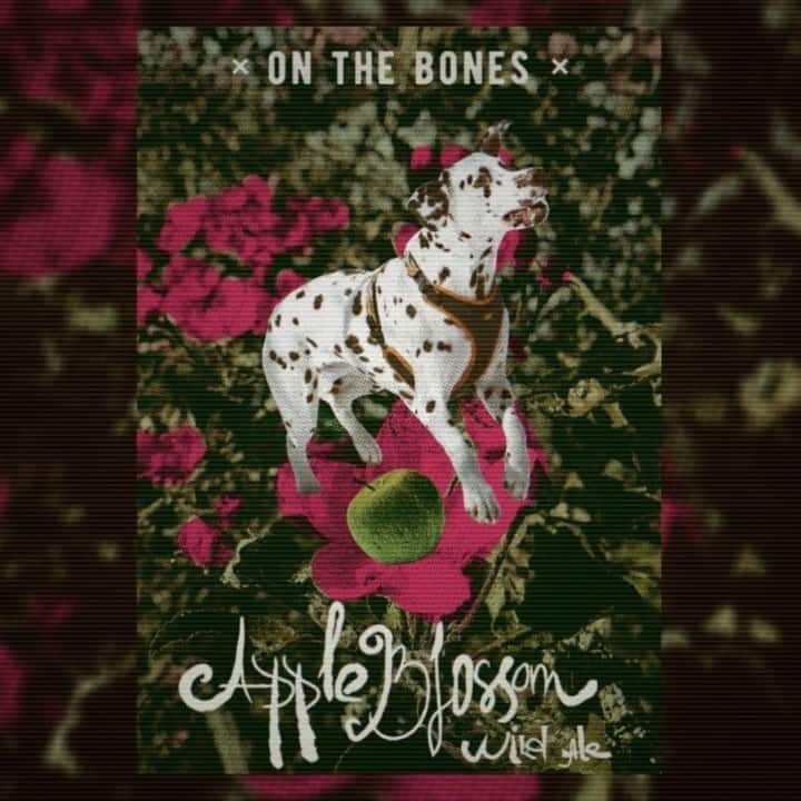 топ пива Он Зе Боунс Эппл Блоссом Вайлд Эль обзор / оценка / отзывы