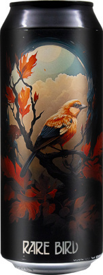 топ пива План Б Рейр Бёрд обзор / оценка / отзывы