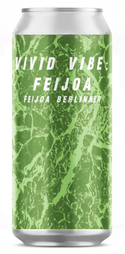 топ пива Плейг Вайвид Вайб Фейхоа обзор / оценка / отзывы